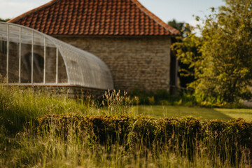 Greenhouse blurring into a lush garden