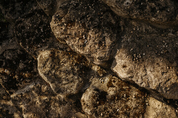 Textured stone surface in natural setting