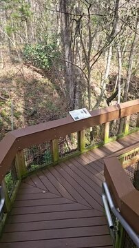Journey down the stairs 