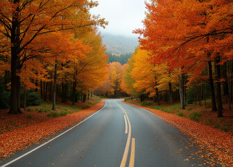Obraz premium Autumn leaves surround rural roads in colorful forests with a natural backdrop.