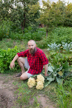 photo of a farmer in the garden
