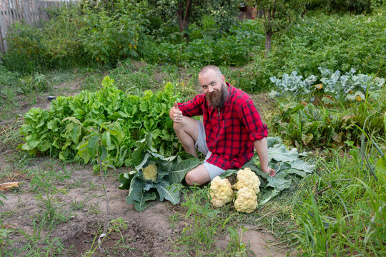 farmer sitting in the garden