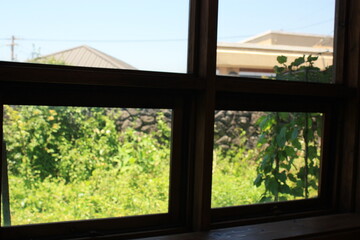 Fototapeta premium view from the window of a house