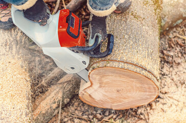 Electric Chainsaw in Action as Man Cuts Fallen Tree in Forest