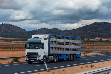 Truck with an empty cage semi-trailer for transporting livestock, driving on a highway.