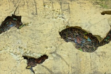 texture of torn elastic soft yellow rubber synthetic porous dirty old with holes foam rubber lies...