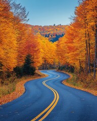 Obraz premium Autumn Road surrounded forest