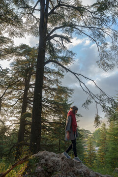 Woman standing atop a rock in a forest during sunset