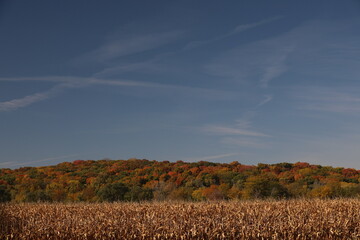 autumn landscape with sky