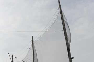 protective mesh strung from tall wooden poles and sky