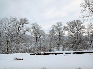 Winter Snow Scene - Tree Covered in White Snow . Snow covered trees during winter . Many trees, stones and roads were covered.
