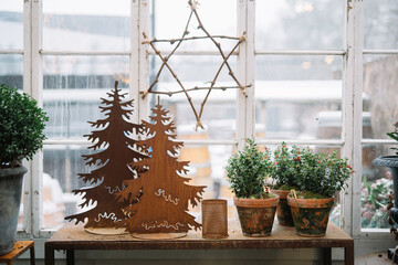 Rustic indoor holiday display with potted plants decor