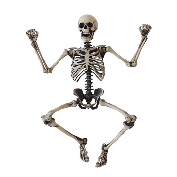 Jumping Skeleton with Raised Arms