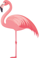 Obraz premium simple vector American flamingo clipart