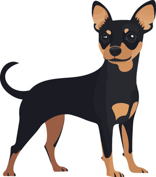 PopSockets PopGrip Con Illustrazione Di Cane Pinscher In Miniatura – Adesivo Intercambiabile Per Case Rigidi