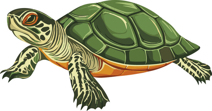 simple vector painted turtle clipart
