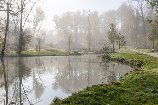 Parc with fog