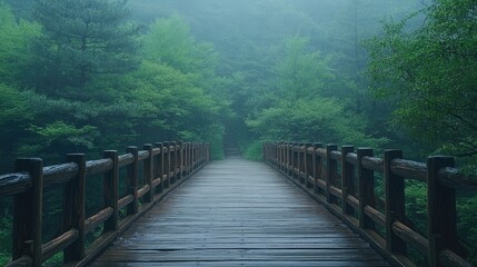 Fototapeta premium Wooden bridge leading into a misty forest.