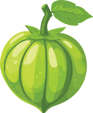 simple vector tomatillo clipart