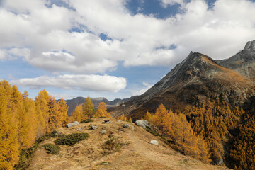 autumn in the mountains