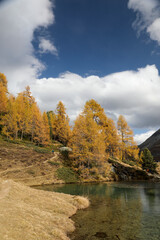 Obraz premium autumn in the mountains