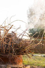 Burning dry grass in garden, detail of burnt grass