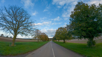 A country road lined with trees in rural Leicestershire, UK