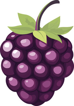 purple blackberry fruit with green leaves clip art preview