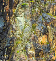 Rock With Moss