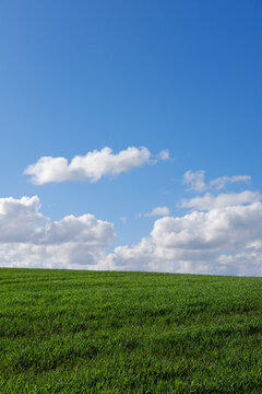 Empty green field and blue sky with clouds.
