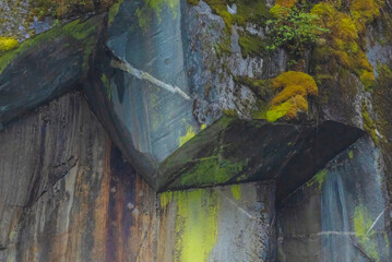 Surface Layer Of Rock