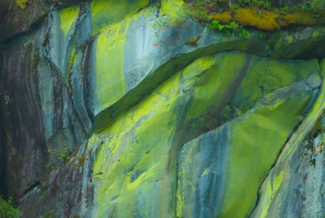 Surface Layer Of Rock