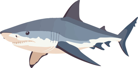 Fototapeta premium simple vector bull shark clipart