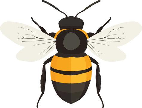 simple vector bumblebee clipart