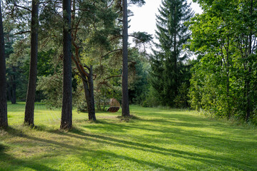 Obraz premium peaceful garden