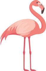 Obraz premium simple vector flamingo clipart