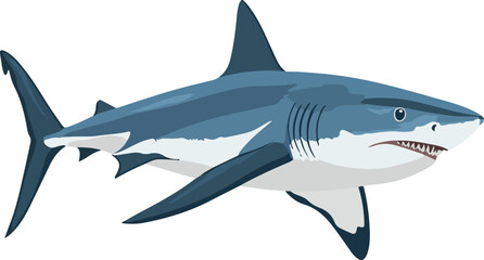 Fototapeta premium simple vector Galapagos shark clipart