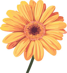 simple vector gerbera daisy clipart