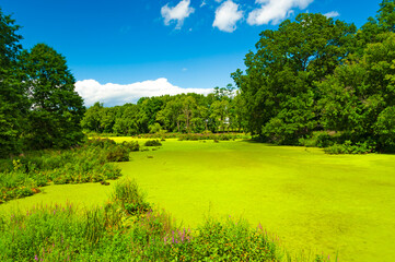 Naklejka premium Nyquist-Harcourt Wildlife Sanctuary With ponds and wetlands remaining on the Wallkill River, New Paltz, New York state