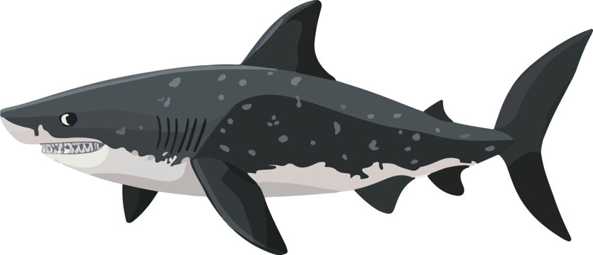 grey shark with spots clip art preview