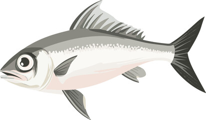 Fototapeta premium simple vector herring clipart