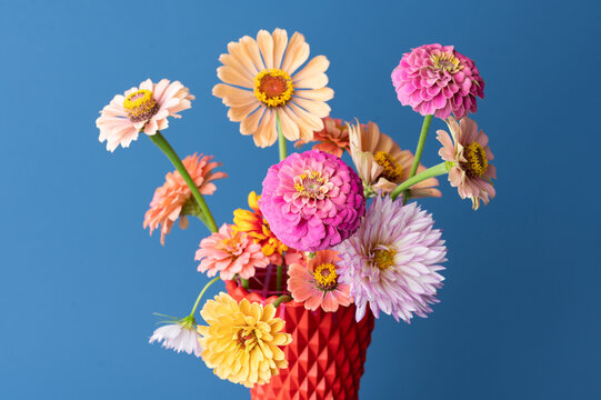 Fun Color Background Images – Browse 3,648,064 Stock Photos, Vectors ...