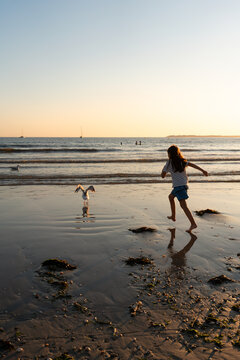 Young Girl Chasing Seagulls on Beach