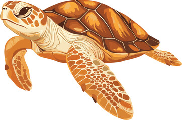 simple vector loggerhead turtle clipart