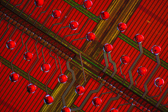 Wafer chip bumping micrograph