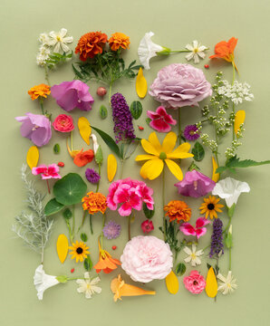 A cheerful late summer floral arrangement on a green background
