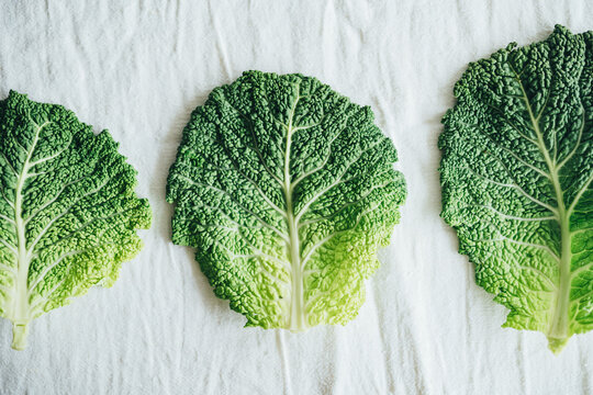 Three fresh cabbage leaves placed side by side on cloth.