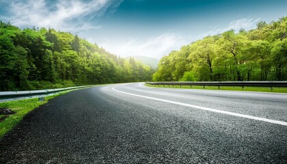 Fototapeta premium road in the woods