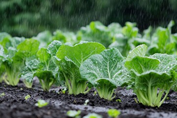 Vegetable plants thrive in a garden during light rain, with droplets glistening on vibrant green leaves, nourished by nature&rsquo;s watering. Generative AI