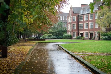 Obraz premium A Tranquil Campus Pathway Lined With Autumn Leaves and Historic Brick Buildings on a Rainy Day